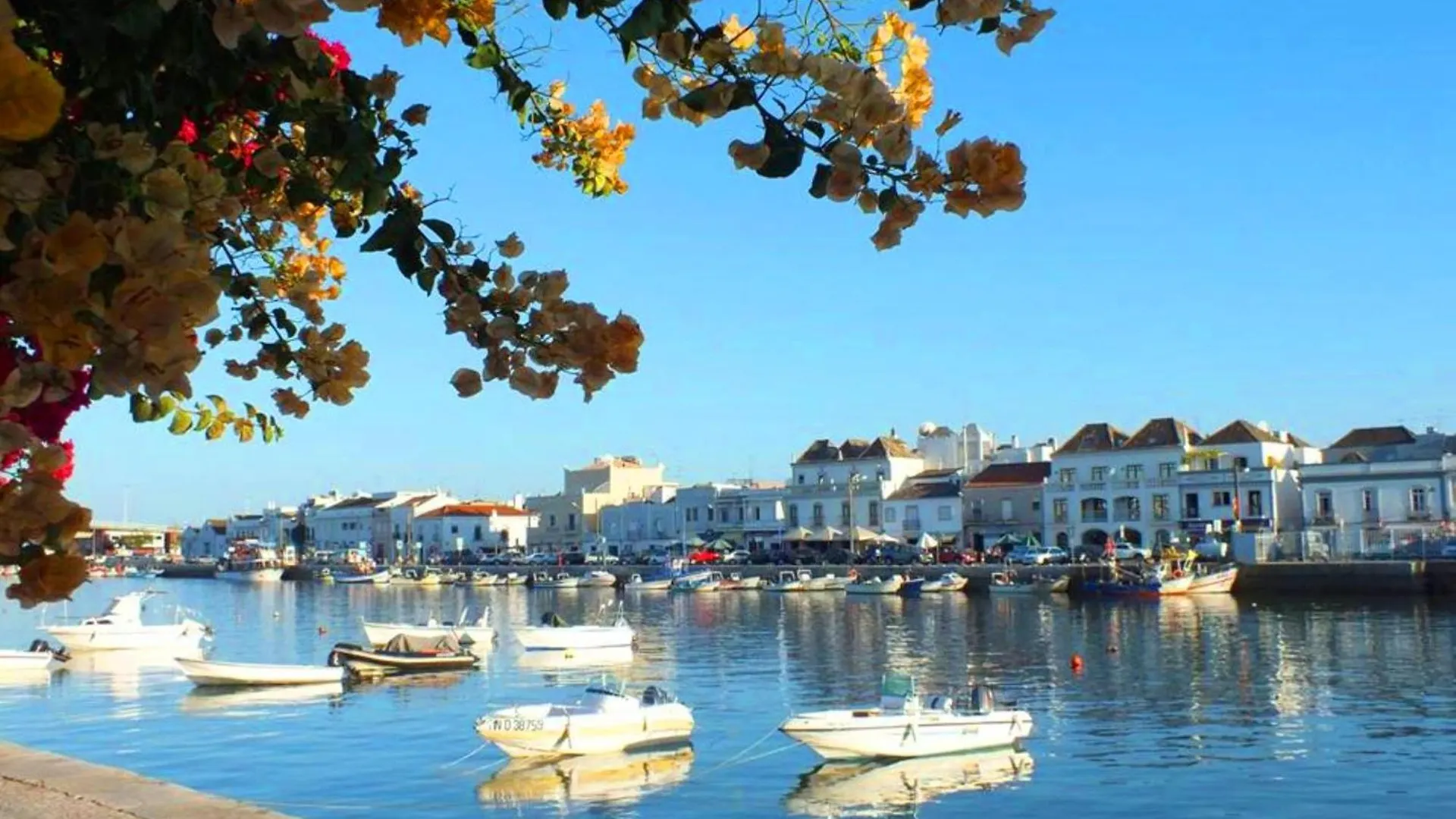 Casa Cavalo Town Centre Apartment Tavira